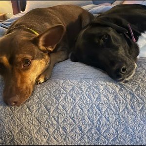 Happy to be here!! Men’s jewelry, clothing, shoes and MORE🤘🏼😜👍🏼